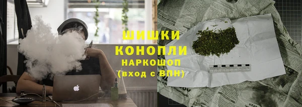 гашик Арсеньев