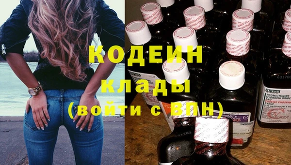 гашик Арсеньев