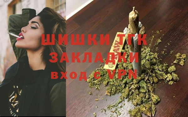 гашик Арсеньев