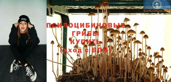 мефедрон мука Новозыбков
